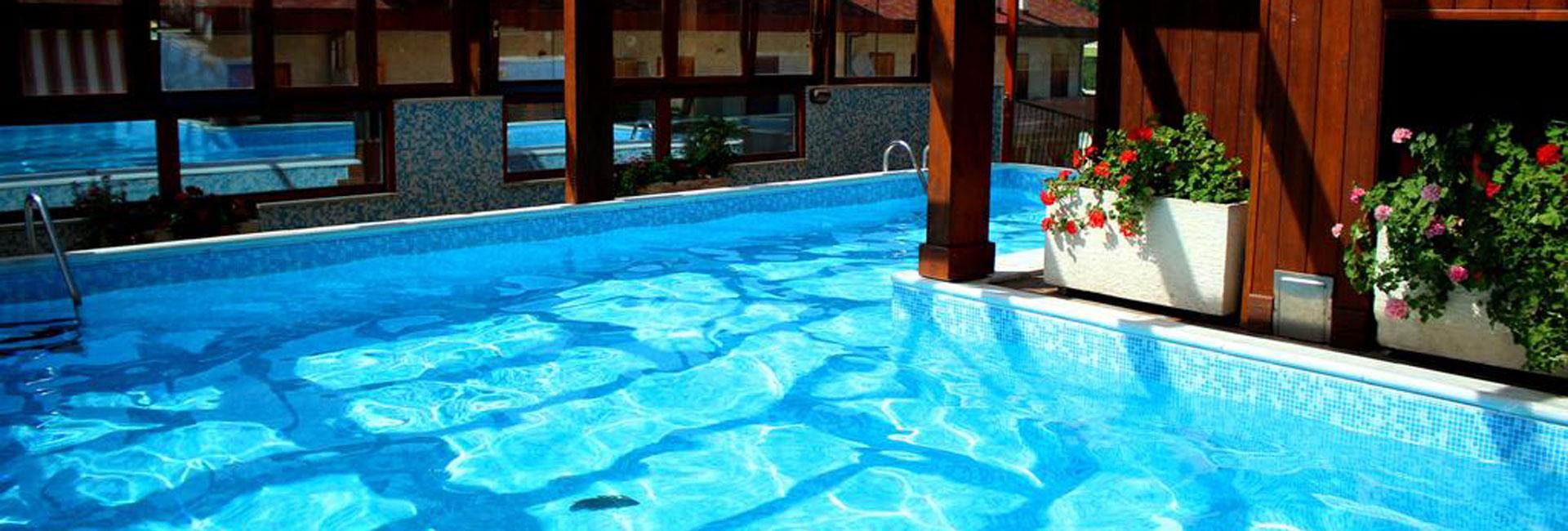 Piscina interna con fiori e riflessi d'acqua chiara.