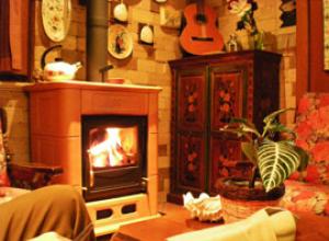 Sala accogliente con stufa a legna, chitarra e arredi rustici.